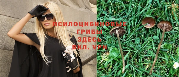 apvp Абинск