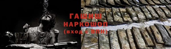 индика Абаза