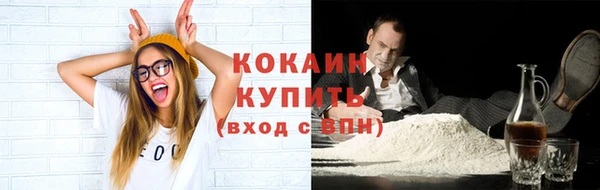 индика Абаза