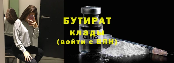 индика Абаза