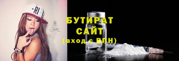 сатива Новодвинск