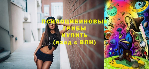 сатива Новодвинск