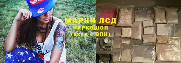 индика Абаза
