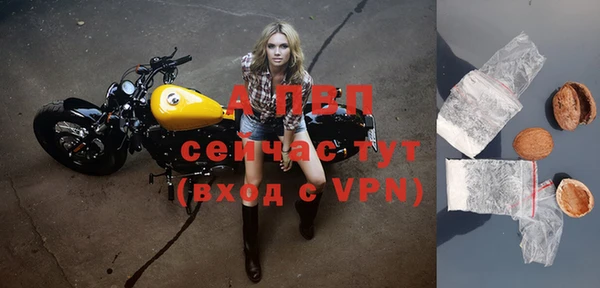 индика Абаза