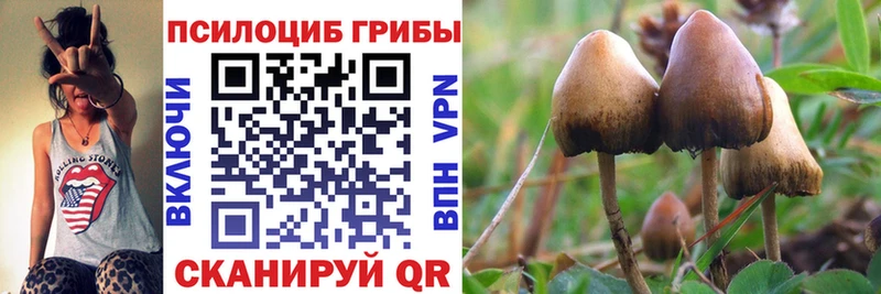Галлюциногенные грибы MAGIC MUSHROOMS  где купить наркотик  МЕГА ссылка  Ржев 
